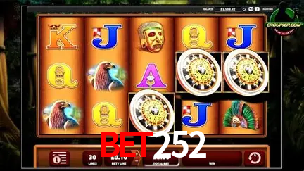 A Experiência Imersiva dos Cassinos Ao Vivo no Bet252